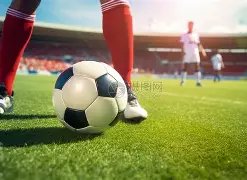 好博体育,产品,HaoBo,HaoBo,Sports,好博体育,体育直播,体育赛事,APP下载,官方网地址